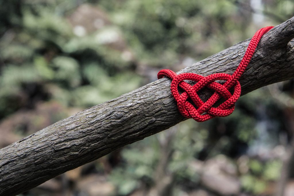 Knotted Heart