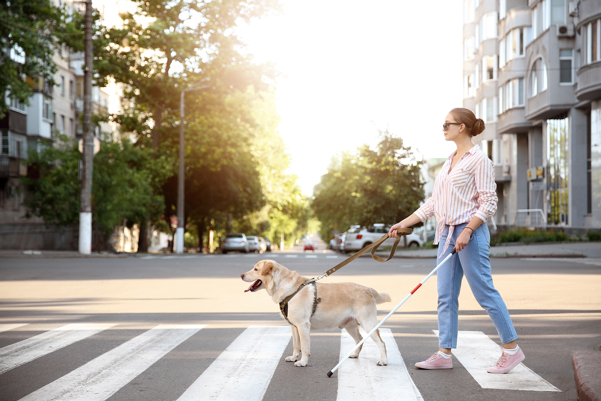 blind woman crossing street with dog