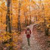 to relieve seasonal affect disorder, a woman walks on path through fall leaves