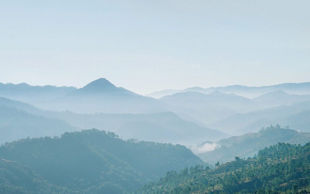 Tuning In: Harnessing Your Adult for Inner Harmony