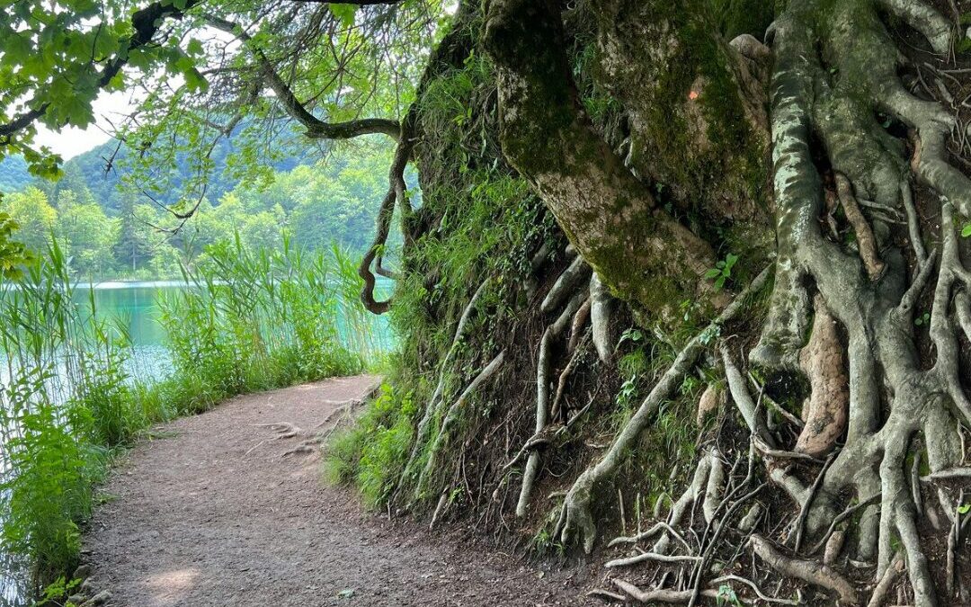 Roots & Relationships: Belonging Without Losing Yourself